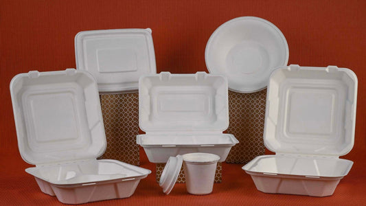 Bagasse Container 9''x9'' 1 Comp (200/cs)