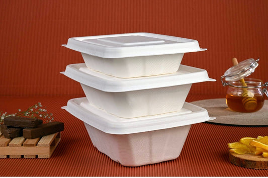 Bagasse Container 750ml with lid